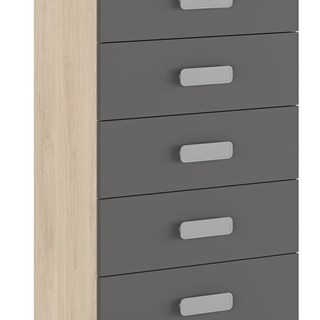 Sinfonier 5 Cajones Donald - Imagen 1